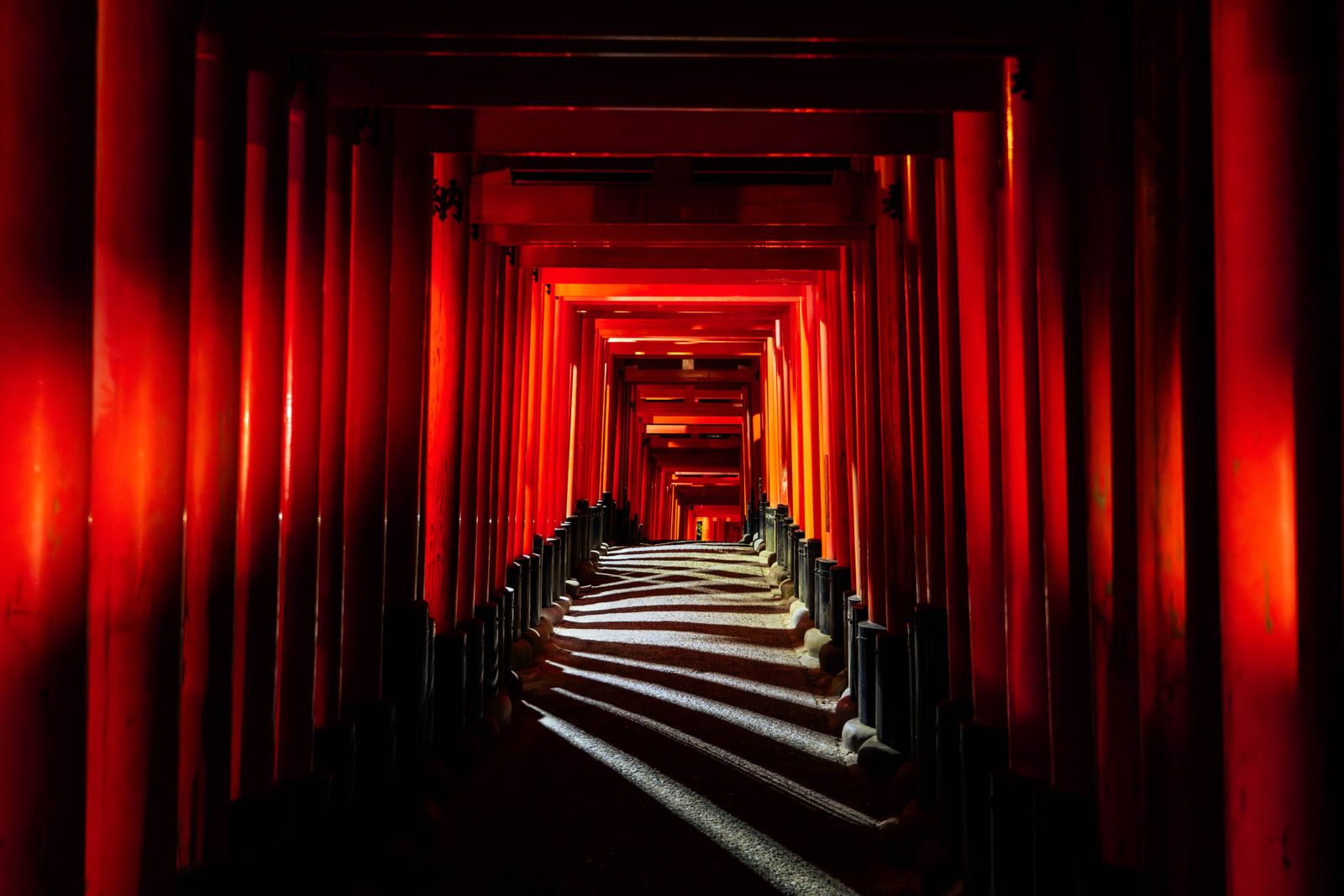 Photographe Mariage Montauban, Toulouse, Occitanie - Julien Jeany